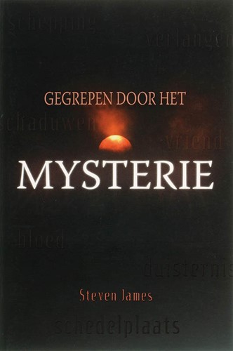 Gegrepen door het mysterie (Paperback)