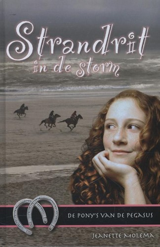 Strandrit in de storm (Hardcover)