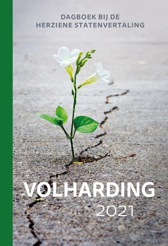 Volharding 2021 (Paperback)