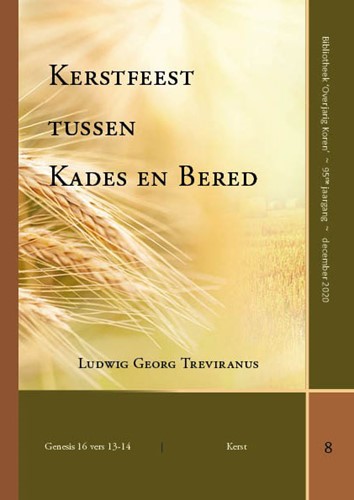 Kerstfeest tussen Kades en Bared (Paperback)