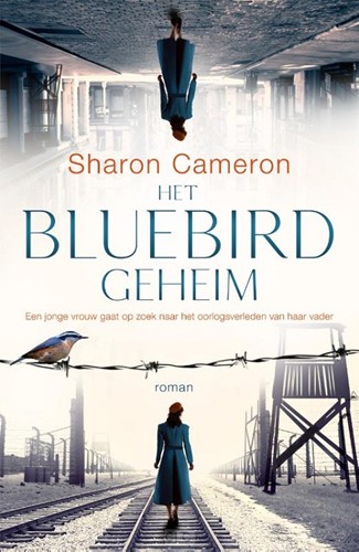 Het Bluebird geheim (Paperback)