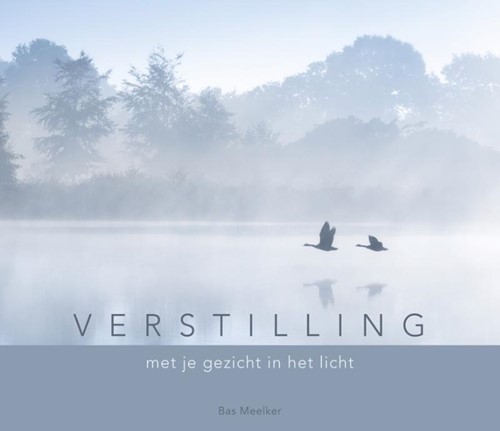 Verstilling (Hardcover)