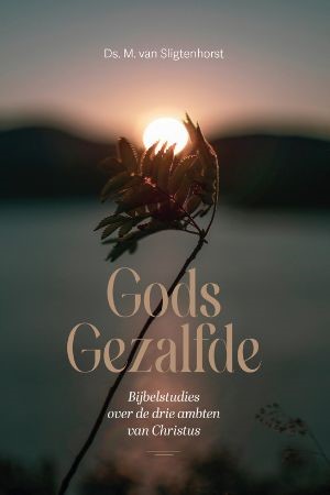 Gods Gezalfde (Paperback)