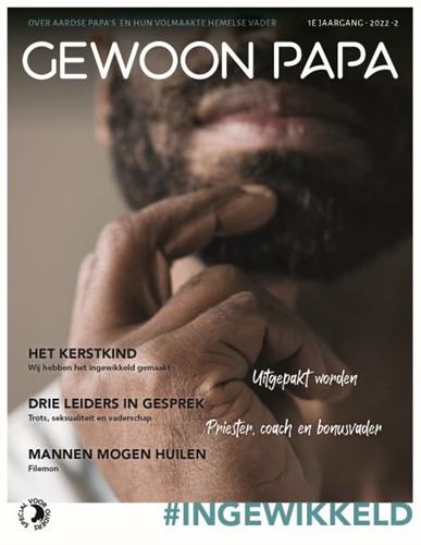 Gewoon papa (Paperback)