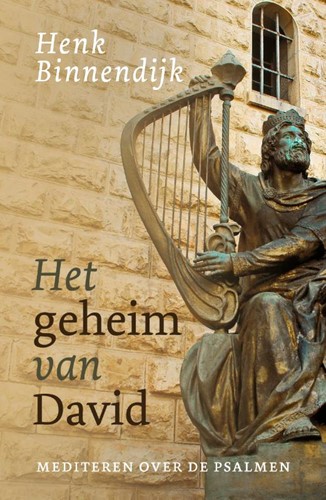 Het geheim van David (Paperback)