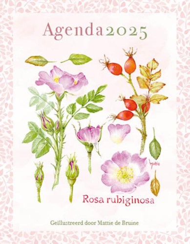 Mattie-agenda 2025