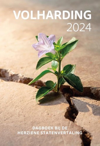 Volharding 2024 (Paperback)
