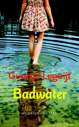 Badwater (Paperback)