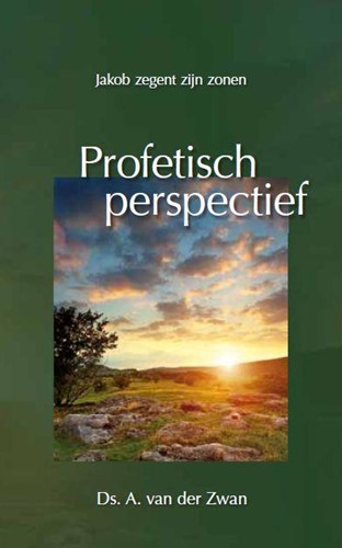 Profetisch perspectief (Hardcover)