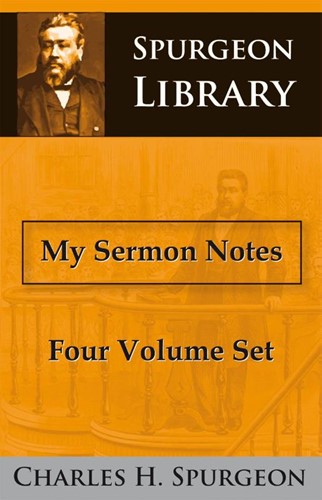 My sermon notes (Paperback)