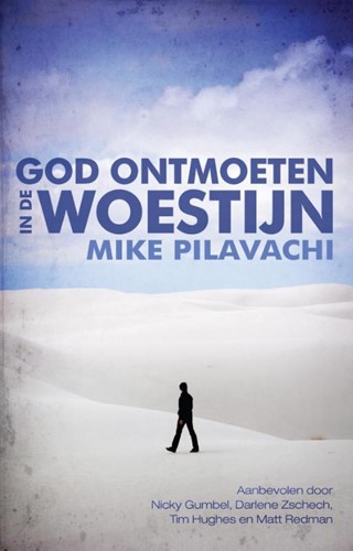 God ontmoeten in de woestijn (Paperback)