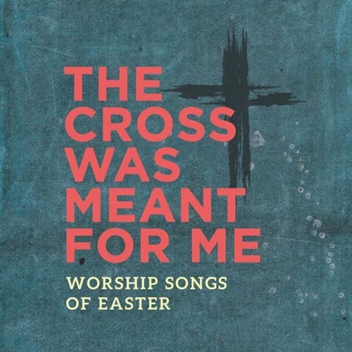 The Cross Was Meant for me (CD)