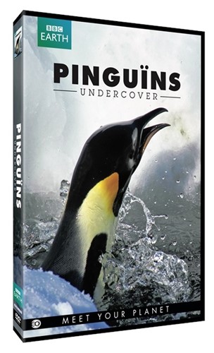 Pinguins Undercover (EO-BBC Earth DVD) (DVD)