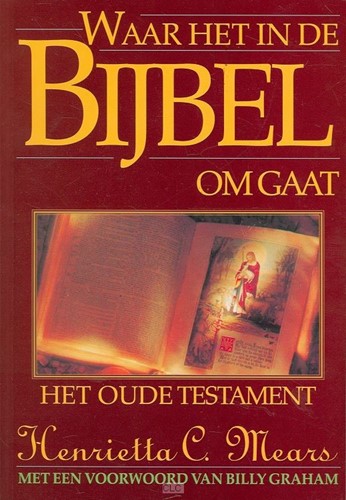 Waar het in de Bijbel omgaat (Paperback)