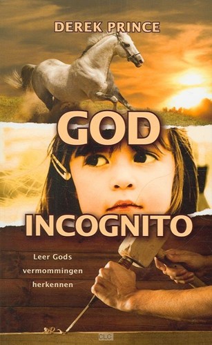 God incognito (Boek)