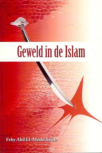 Geweld in de islam (Paperback)
