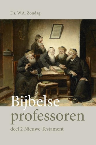 Bijbelse professoren (Paperback)