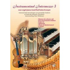 Instrumentaal intermezzo 3 (Paperback)