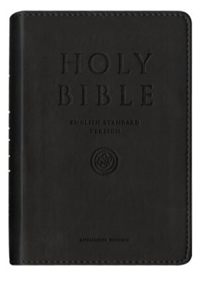 ESV compact gift bible (Boek)
