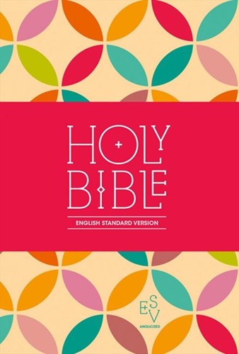 ESV compact bible (Boek)