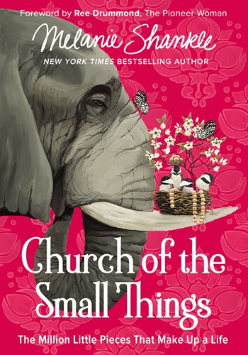 Church of the small things (Boek)