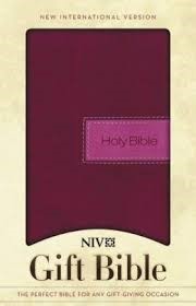 NIV Gift bible razzleberry duotone (Boek)