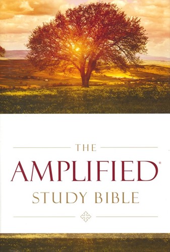 Amplified study bible (Boek)