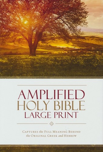 Amplified large print bible (Boek)