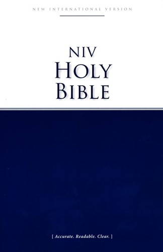 NIV economy bible (Paperback)