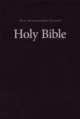 NIV Bible (Boek)
