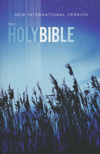 NIV outreach bible (Boek)