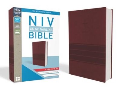 NIV value LP thinline bible burgundy imi (Boek)
