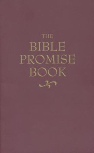 KJV bible promise book
