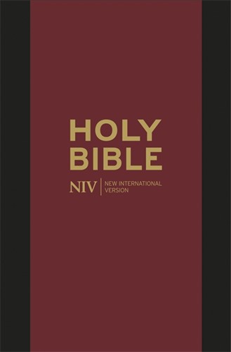 NIV pocket bible with zip (Boek)