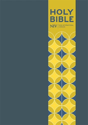 NIV pocket bible with clasp (Boek)