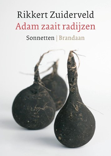Adam zaait radijzen (Paperback)