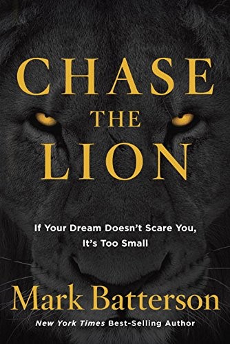 Chase the lion (Boek)
