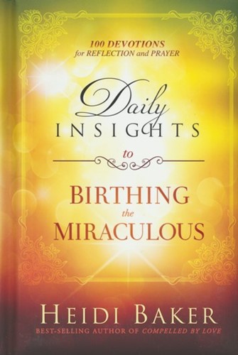 Daily insights to birting the miraculous (Boek)