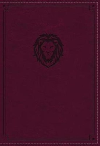NKJV thinline bible youth edition burgun (Boek)
