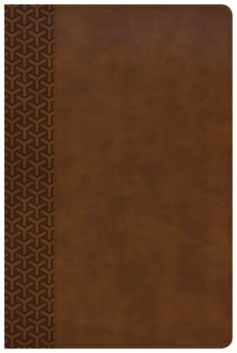 KJV everyday study bible brown leathert (Boek)