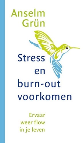 Stress en burnout voorkomen (Paperback)