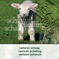 Verloren schaap schelling schavuit (Boek)