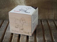 Groei kubus: Dutch Sheep (Cadeauproducten)