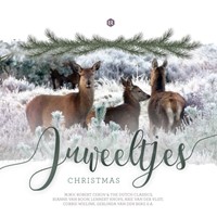 Juweeltjes Christmas (Cadeauproducten)