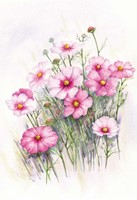 Wenskaart Roze bloemen met envelop