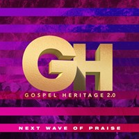 Next Wave of Praise (CD)