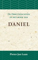 De Gezichten in het Boek van Daniel (Paperback)