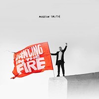 Dancing in the Fire (CD)