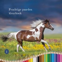 Prachtige paarden kleurboek
