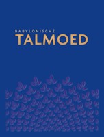 Babylonische Talmoed Sanhedrien 3/4/5/6 (Hardcover)